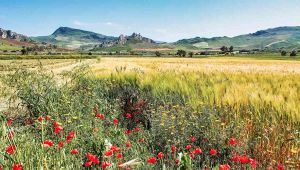 In Sicilia nasce il Parco dello Stile di Vita Mediterraneo