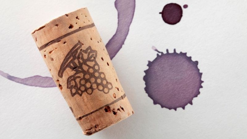 A Bondeno scoperto il vino più antico d'Italia