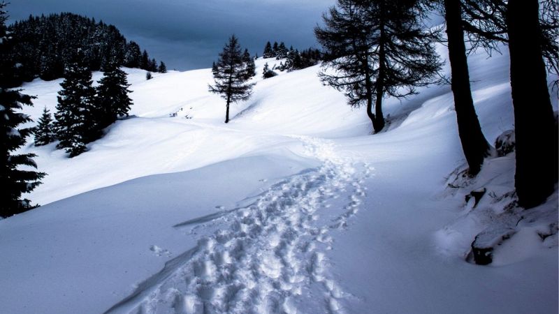 Altopiano Asiago