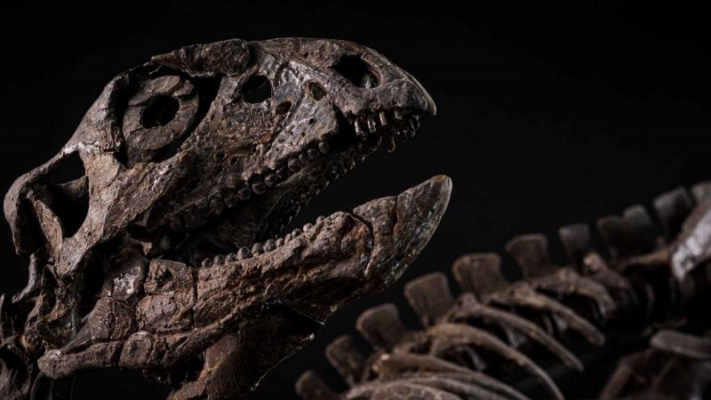 Othnielosaurus