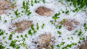 Graupel