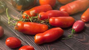 Pomodoro lungo pelato