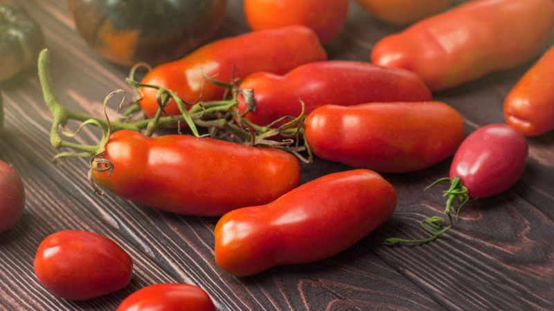 Pomodoro lungo pelato