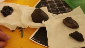 Ricerca della meteorite caduta in Molise