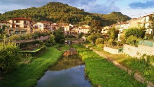 Vicchio