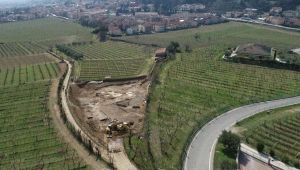 Villa dei Mosaici