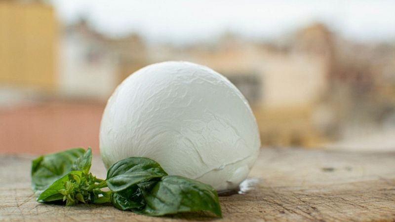 Mozzarella
