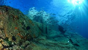 Elba sott'acqua