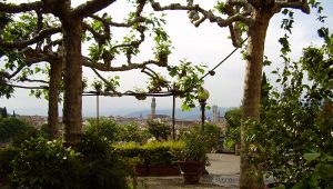 Giardino delle Rose