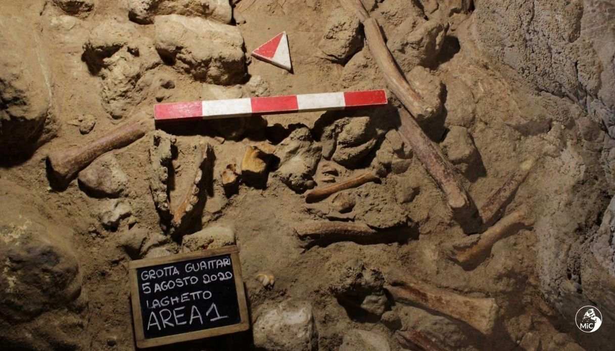 Al Circeo sono stati ritrovati i resti di 9 uomini di Neanderthal