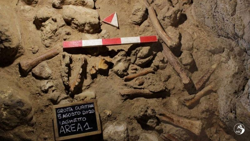Uomini di Neanderthal al Circeo