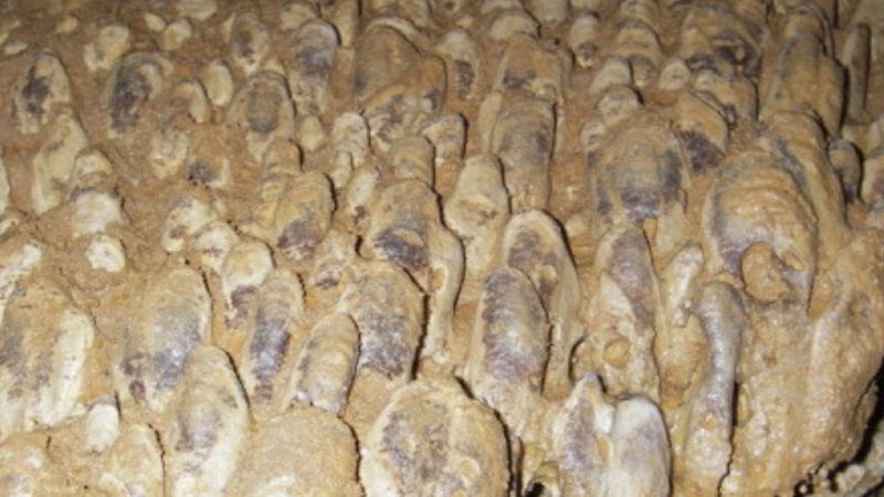 Pozzo delle Cozze