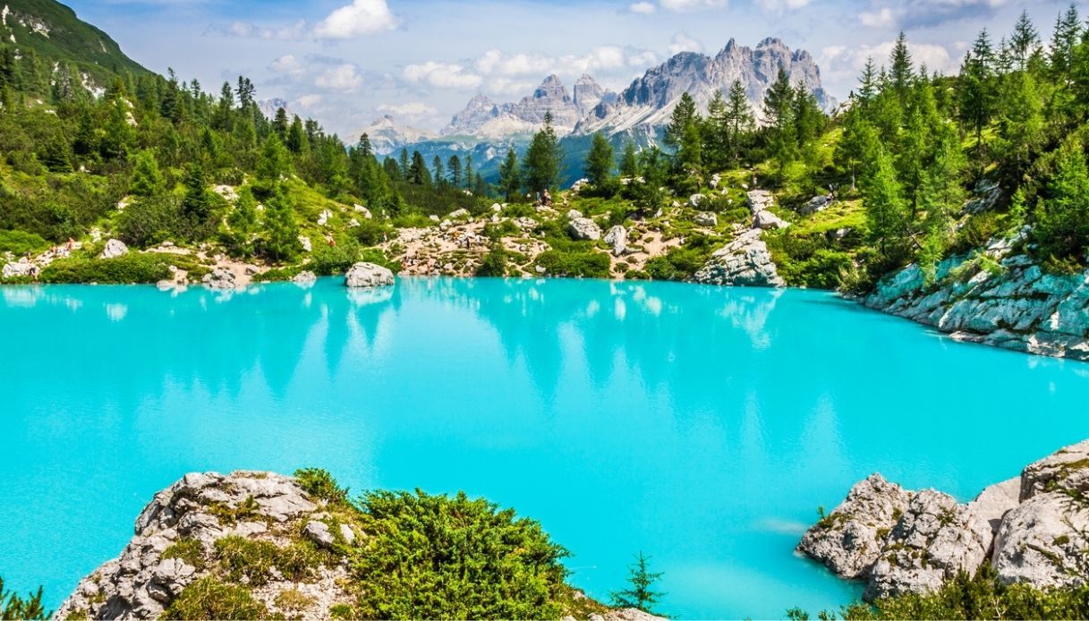 Campanella Pesca Doppia: 10 Pezzi Di Allarmi Morbidi Per Canna Da Pesca - Segnalatore Di Abboccata Luminoso Per La Notturna