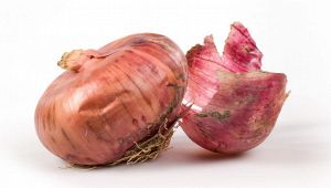 Cipolla rossa di Breme