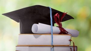 Flop Italia laureati