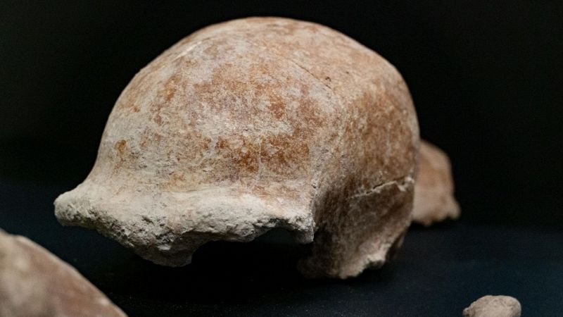Grotta Guattari