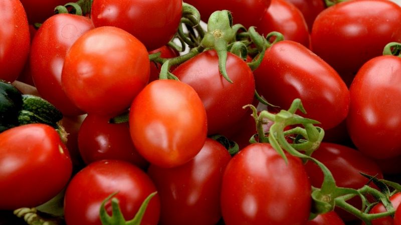 Pomodori