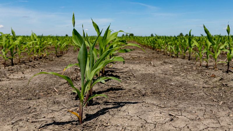Allarme siccità, le zone più colpite
