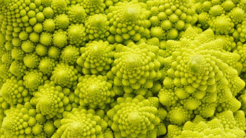Broccolo romanesco