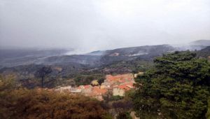 Cuglieri