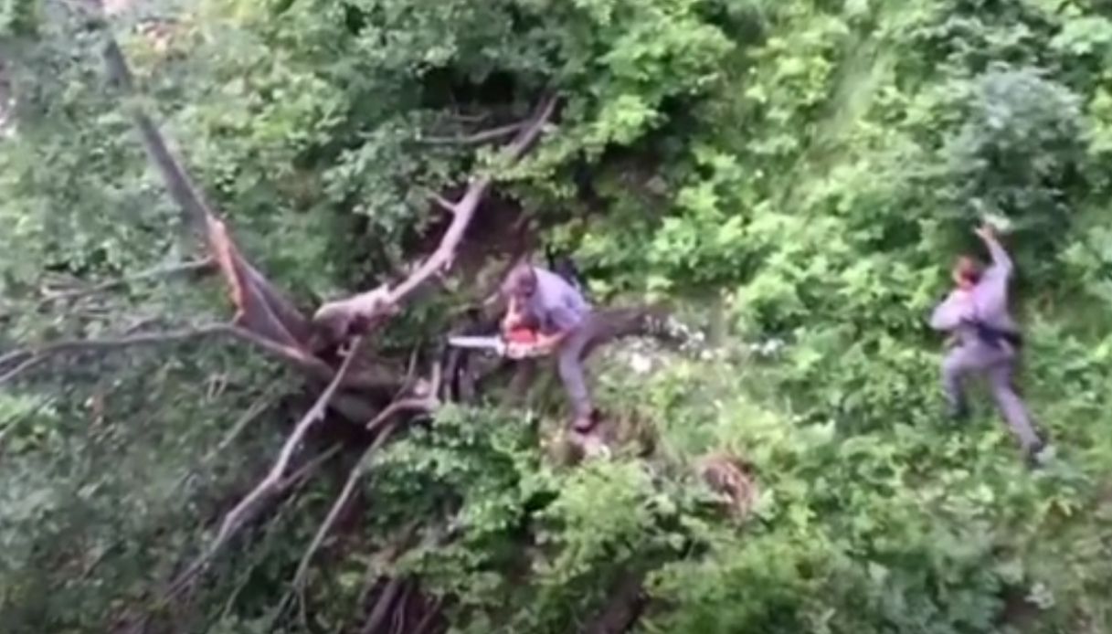 L'incredibile salvataggio di un cucciolo di orso in Trentino