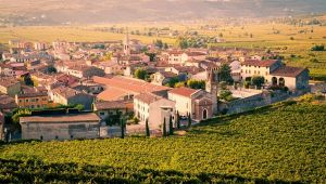 Soave