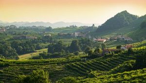 Valdobbiadende Colline del Prosecco