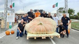 Zucca gigante