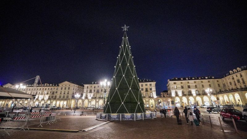 "Zerbino", l'albero delle polemiche