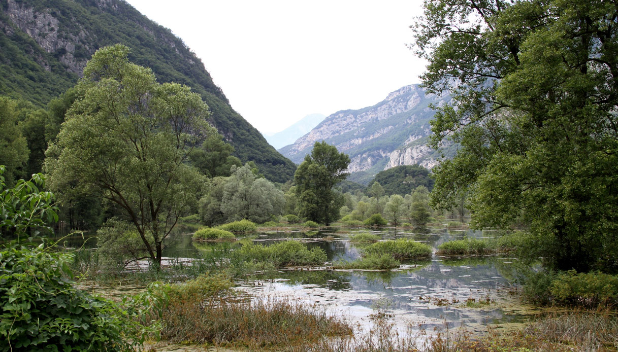 Allarme in Trentino: il lago di Loppio sta scomparendo