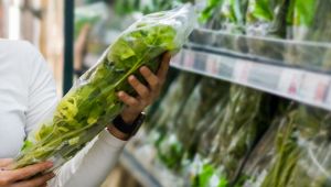 Cosa c'è nell'insalata in busta