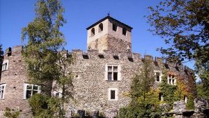 Atto di vendita per il castello di Introd