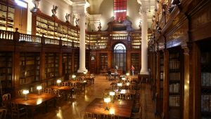 Università di Bologna