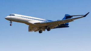 Bird strike in Italia