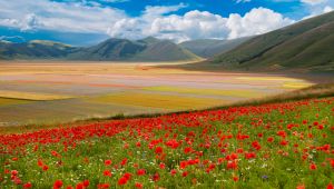 La Festa della Fioritura