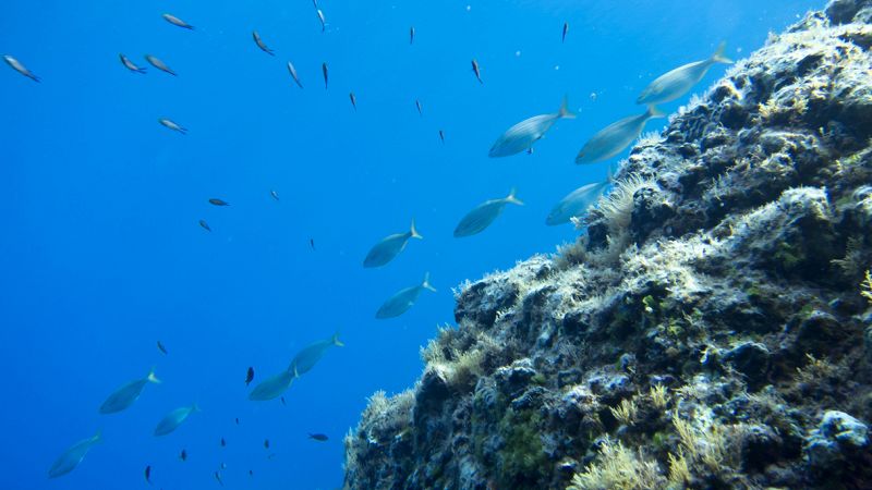 Le mete più belle in Italia per le immersioni