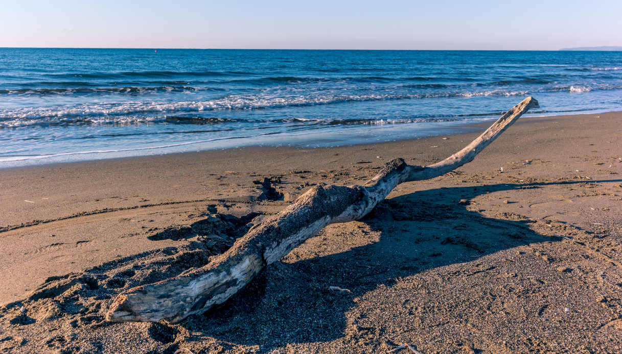 Sardegna meta del turismo naturista: obiettivo distretto