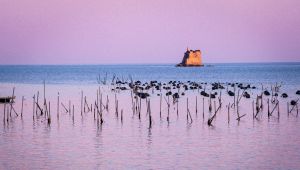 La Spezia: è allarme "muscoli"