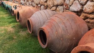 Anfore marine svelano i segreti del vino dell'Antica Roma