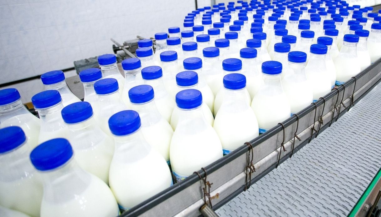 Italia, allarme prezzi latte