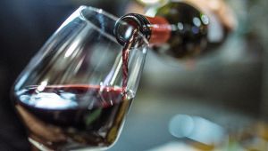 Vino