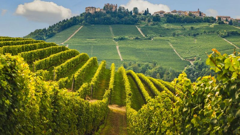 langhe