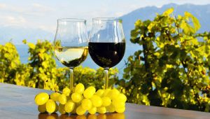 migliori 100 vini e vignaioli d'Italia 2023