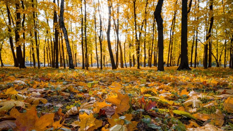 Novembrata doppio allarme