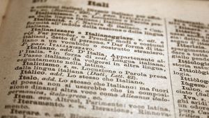 Le 1000 nuove parole del vocabolario italiano