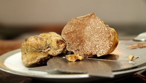 Tartufo Bianco d'Alba