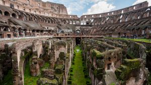 Orsi e dadi da gioco: le fogne rivelano i segreti del Colosseo
