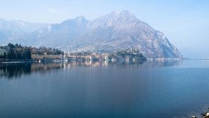 Moregallo e la sua maledizione