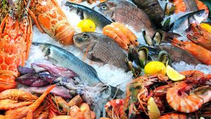 Il pesce