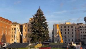 Albero di Natale a Roma
